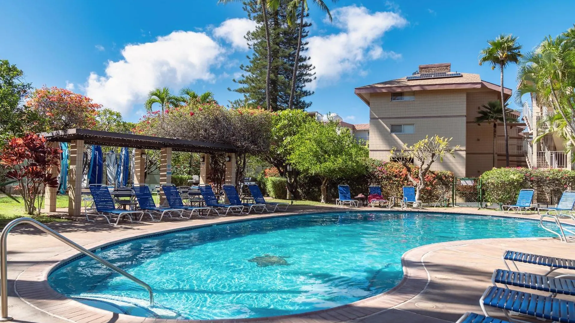 B-204 Haleakala Shores Wailea  0*, Wailea (Maui) United States